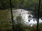 Grubenteiche