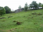 WH10_Heide3 WH10_Heide3