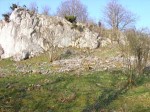 Wacholderheide