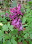 DSCN0653