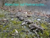 1-fruehjahrswanderung-4